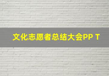 文化志愿者总结大会PP T